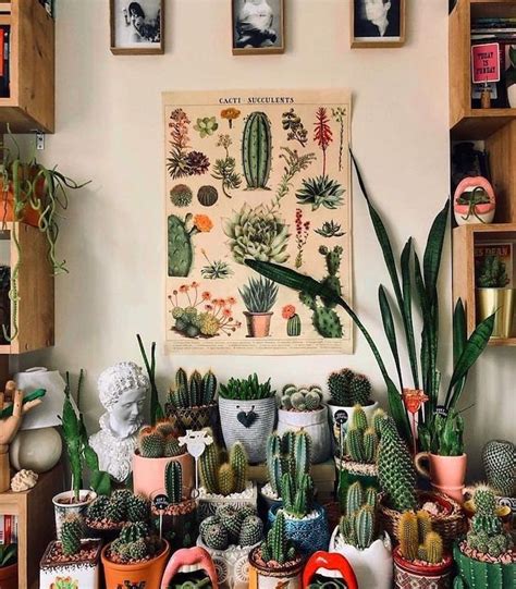 La D Co Avec Cactus Vivre Comme Dans Un Western Plant Decor