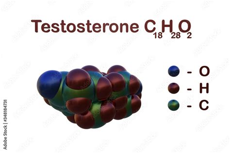 Structural Chemical Formula And Space Filling Molecular Model Of