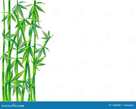 Bamboo Stock Vector Illustration Of Artwork Abstract 11066681