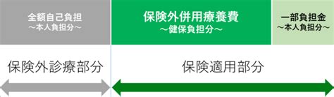 保険外併用療養の医療を受けるとき 学研健康保険組合