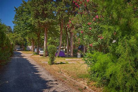 Campsite Les Avignon In Languedoc Roussillon Gard Villeneuve Lès