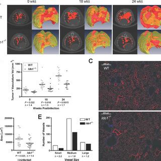 IDO Deficiency Impairs The Outgrowth Of Overt Lung Adenocarcinomas And