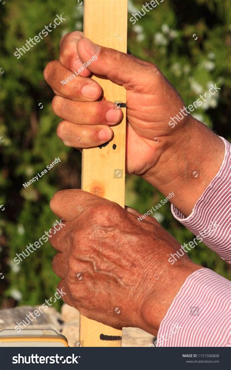 Closeup Workers Hands Holding Surveying Stick Stock Photo 1151506808