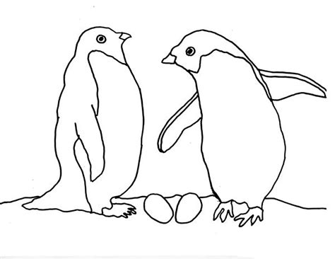 Gambar Mewarnai Pinguin Untuk Anak Paud Dan Tk