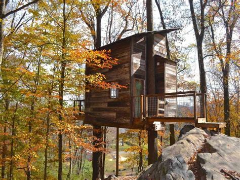 10 Incredible Airbnb Treehouse Rentals in the U.S. - The Happiness Function