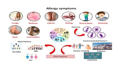 Understanding Allergies Types Causes And Symptoms Techtorreto