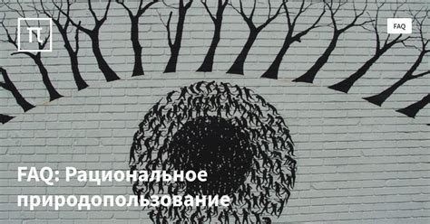 FAQ: Рациональное природопользование — все самое интересное на ПостНауке
