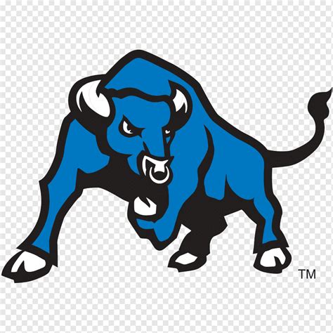 University At Buffalo Buffalo Bulls Football Buffalo Bulls Women S