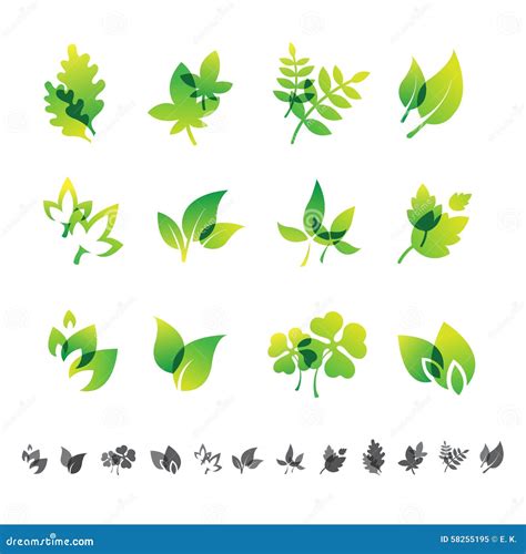 Set Of 12 Botanical Icons Stock Vector Illustration Of Object 58255195