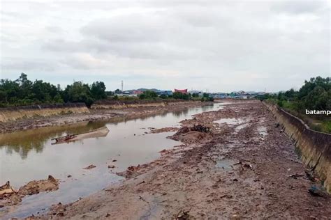 BKSDA Evakuasi Dua Buaya Muara Upaya Pencegahan Konflik Buaya Muara