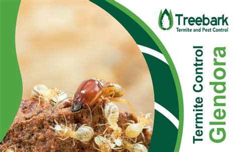 Treebark Termite And Pest Control Glendora 909 359 2144