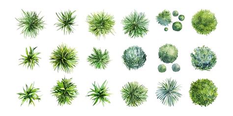 Page 12 Top Down Trees Vectors And Illustrations For Free Download