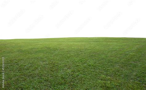 Green Grass Field Background Stock Photo Adobe Stock