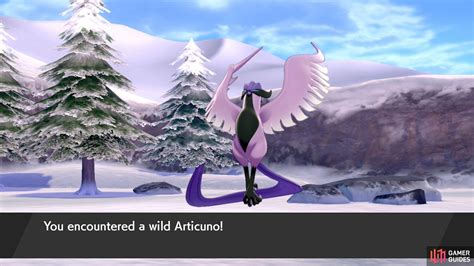 Galarian Articuno At The Crown Tundra Walkthrough The Crown Tundra