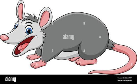 Marsupial Mice Stock Vector Images Alamy