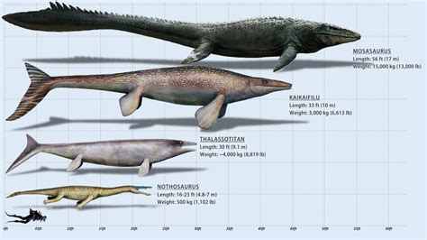 The 10 Biggest Mosasaurs Ever YouTube