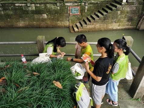 留下街道：百日攻坚 “小手拉大手”——浙江在线