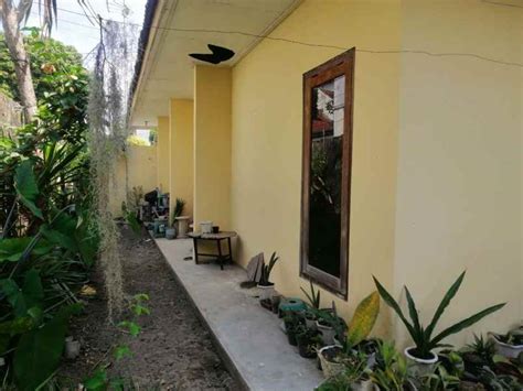 Rumah Dijual Jogja Dekat Kampus UGM Mlati Sleman NEGO Ambyaar BU