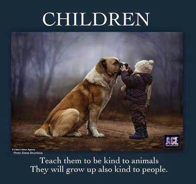 Of Animal Love: Teaching Children Kindness towards Animals