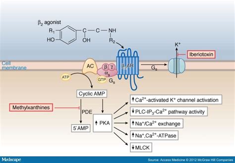 Indacaterol: A Once-Daily Treatment of COPD - Page 2