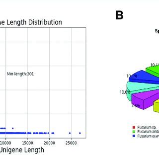 Unigene length distribution and species classification. (A) unigene ...