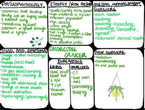 Nursing School Concept Map Etsy