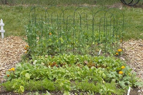 Vegetable Garden Sun Shade Ideas To Try This Year Sharonsable