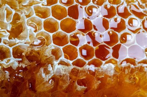 Premium Photo | Natural fresh honeycomb