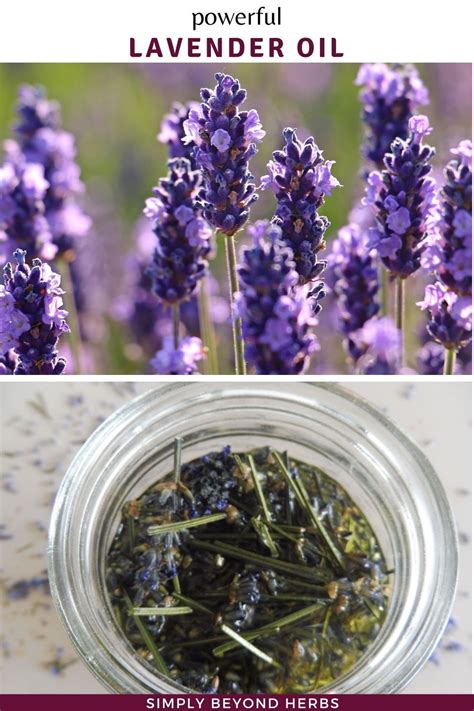 Lavender oil | Diy skin care recipes, Diy natural beauty recipes, Diy ...