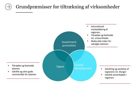 Internationale virksomheder til trekantsområdet ppt download