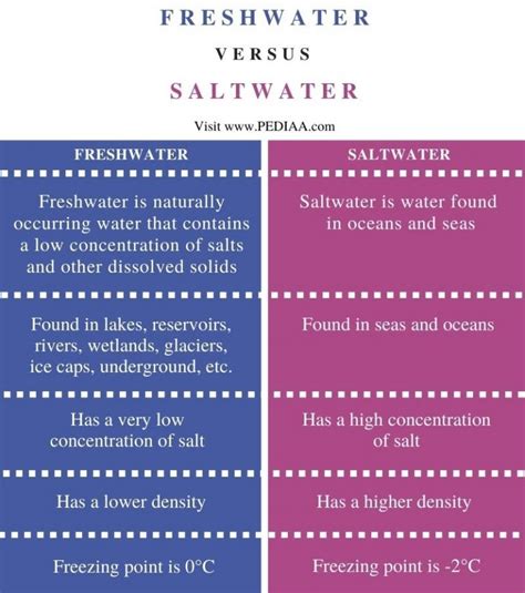 Qual A Diferen A Entre Gua Doce E Gua Salgada Pediaa Trasiente