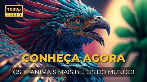 Conhe A Os Animais Mais Belos Do Planeta Voc Sabe Quem S O Eles