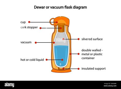 Physics Thermos Flask Diagram Purchase Rbk Bm