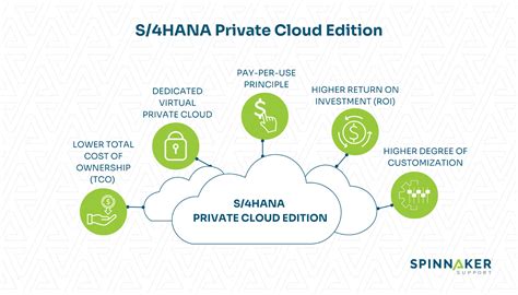 Sap S 4hana Public Vs Private Cloud Editions