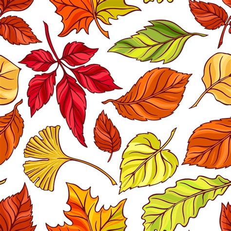 Hermoso fondo transparente de hojas de otoño ilustración dibujada a