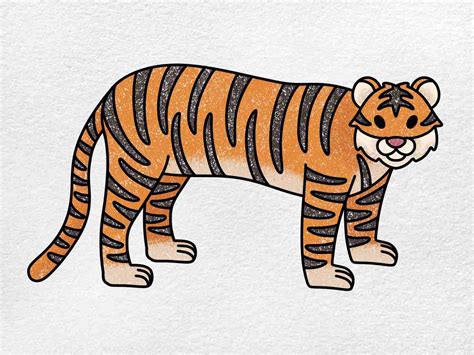 Tiger Drawing for Kids - HelloArtsy