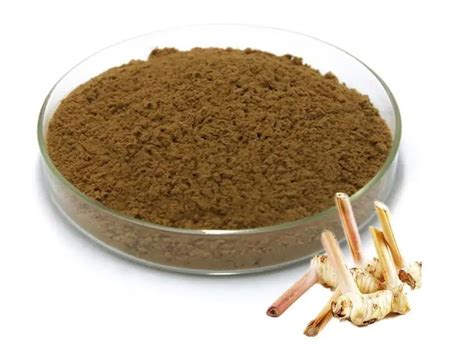 Alpinia Officinarum Extract - Changsha Staherb (China Manufacturer ...