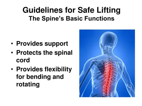 Ppt Guidelines For Safe Lifting Powerpoint Presentation Free