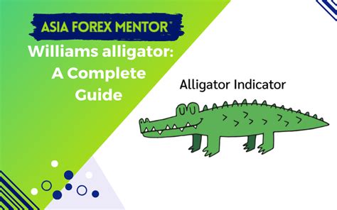 Williams Alligator Indicator How To Use Asia Forex Mentor