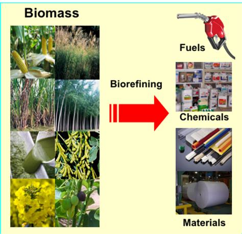 Research Summary – Pan Lab of Bioenergy and Bioproducts