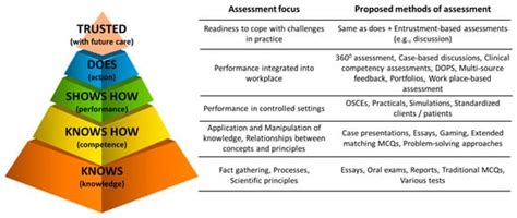 Practical Use Of The Observer Reporterinterpretermanagerexpert O