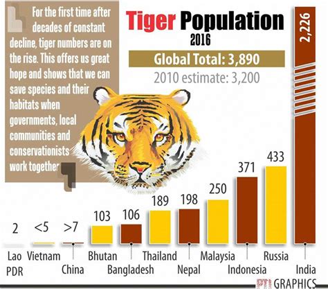 How Much Tigers Are Left India Kevyn Merilyn