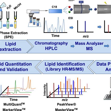 Pdf Comprehensive High Resolution Multiple Reaction Monitoring Mass