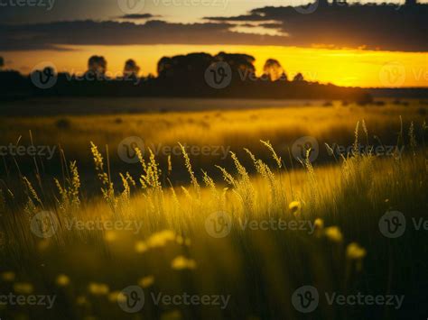 Ai Generated Abstract Soft Focus Sunset Field Landscape Of Yellow Flowers And Grass Meadow Warm