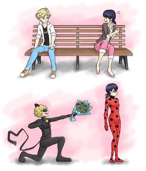 Marinette And Adrien Chat Noir And Ladybug Miraculous Ladybug Fan