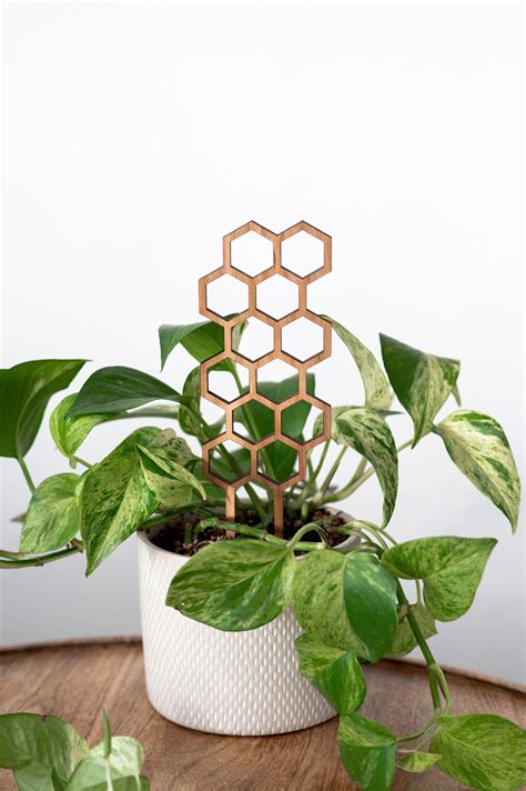 Honeycomb Plant Trellis Indoor Plant Trellis Climbing Plant Etsy Canada