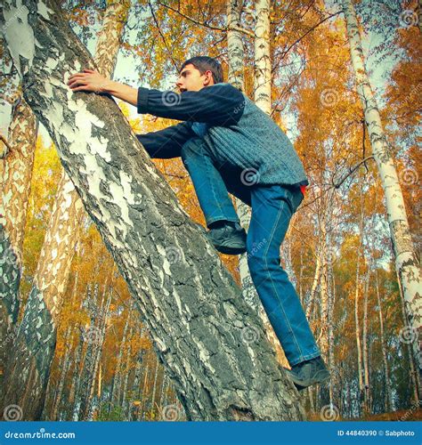 Teenager Climb On The Tree Stock Photo Image Of Climb 44840390