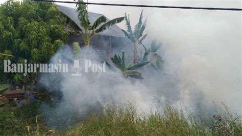 Dipicu Sebuah Tindakan Ceroboh Warga Ini Penyebab Kebakaran Lahan