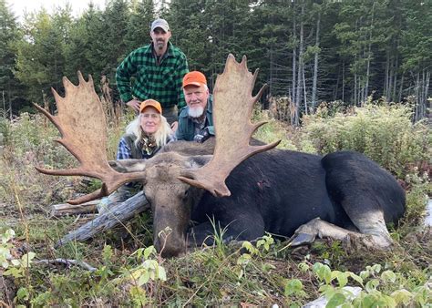 Maine Moose Hunting Guides Zone 1