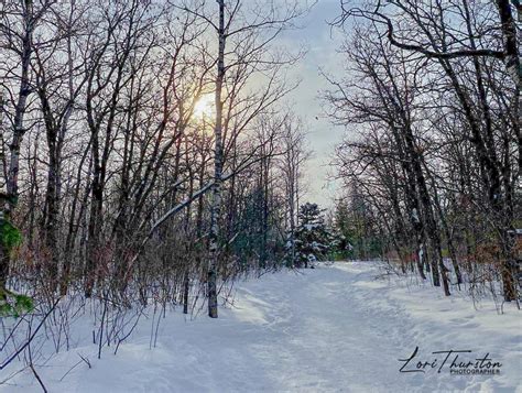 Birds Hill Provincial Park Mantioba Lori Thurston Flickr